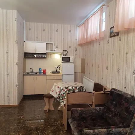 Studio-lux On Klinichna Apartment Kiew